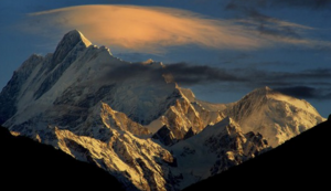 媒体报道形式有哪些方面怎么填，媒体报道的定义