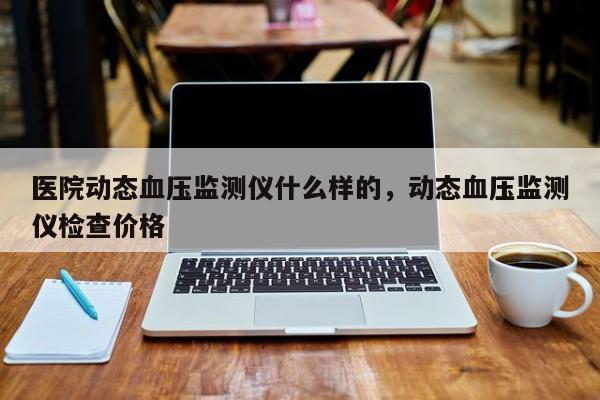 医院动态血压监测仪什么样的，动态血压监测仪检查价格