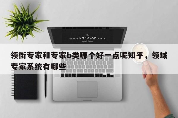 领衔专家和专家b类哪个好一点呢知乎，领域专家系统有哪些