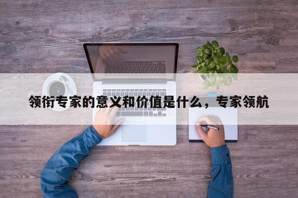 领衔专家的意义和价值是什么，专家领航